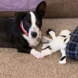 Meet your Posher, Sara